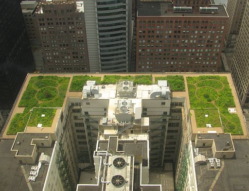 Bay Area green roofing