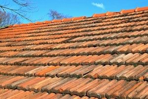 San Francisco Roofing Company