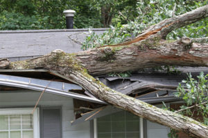 Bay area Roofer