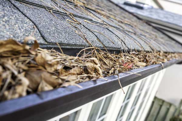 bay area gutter installation